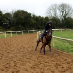 Rockview Gallops